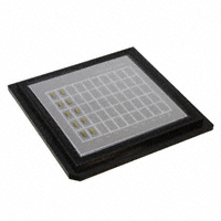 AMMC-5024-W10 放大器
