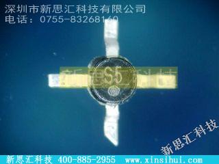 SNA-586放大器 - 仪表，运算放大器，缓冲放大器