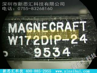 W172DIP-24其他继电器